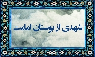 شهدی از بوستان امامت